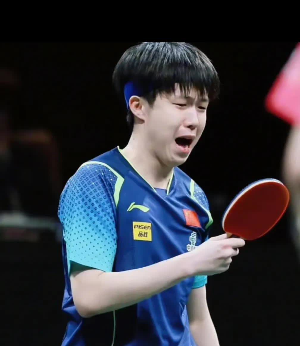 PG中国官网-中国队完胜瑞典队，许昕高光表现的简单介绍